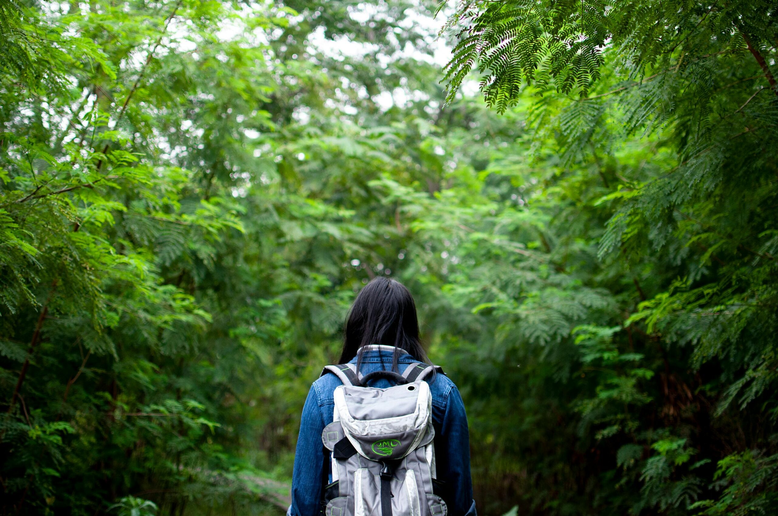 Girl with a Backpack Walking through the Forest