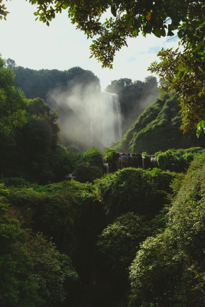 A breathtaking view of a waterfall cascading through a dense, vibrant green forest.