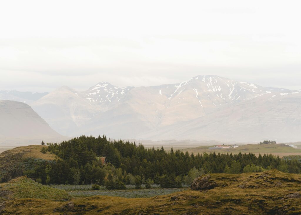 Peaceful Icelandic landscape with misty mountains and dense forest, perfect for serene nature backgrounds.