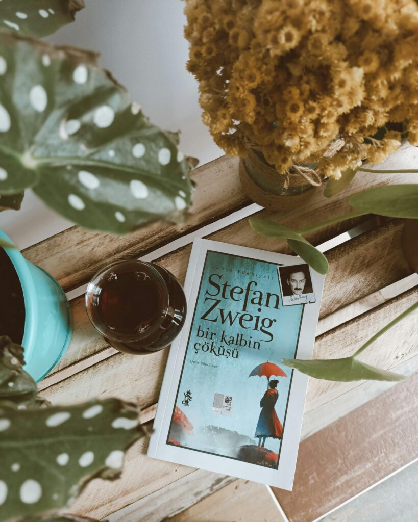 Top view of a cozy setup with a book by Stefan Zweig, tea, and plants on a wooden bench.