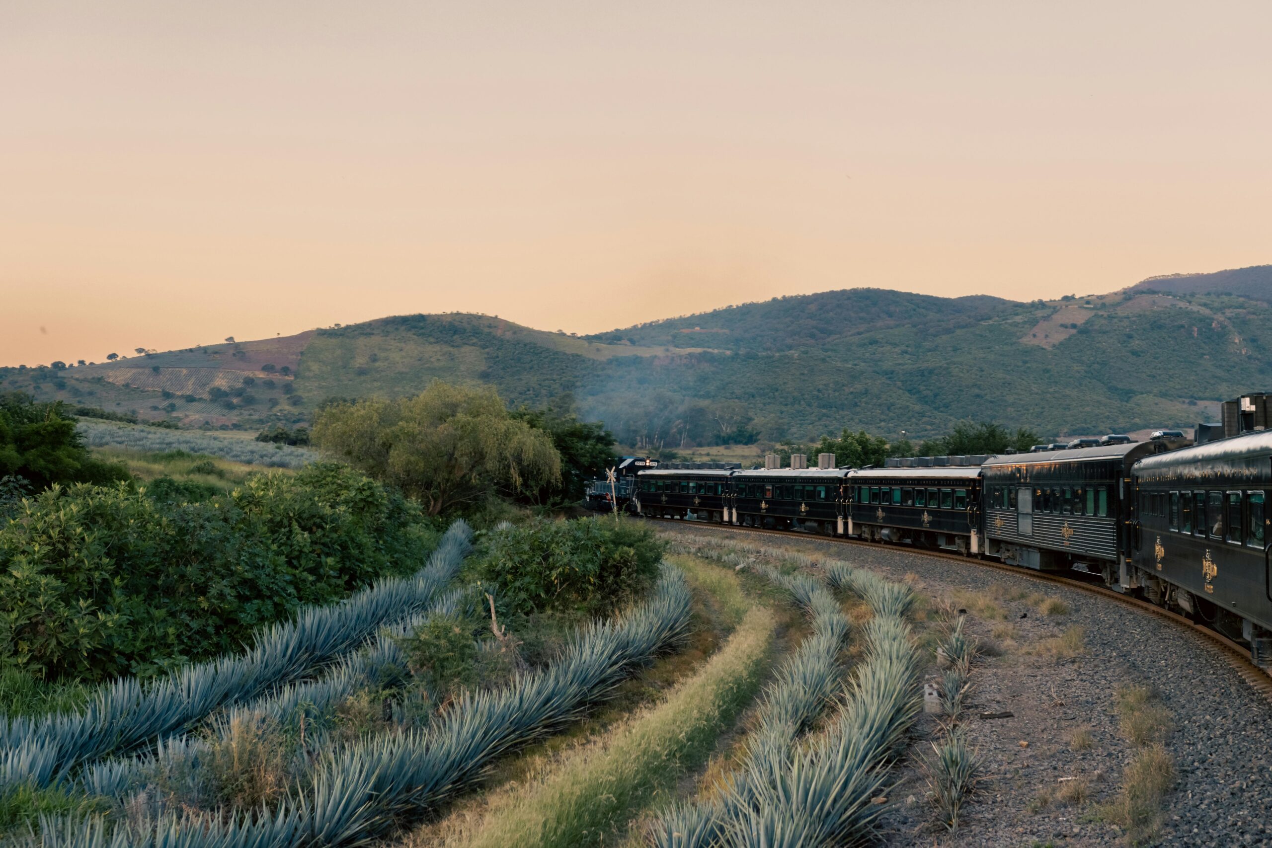 Train passing through agave fields in Tequila, Mexico at sunset, surrounded by lush hills.