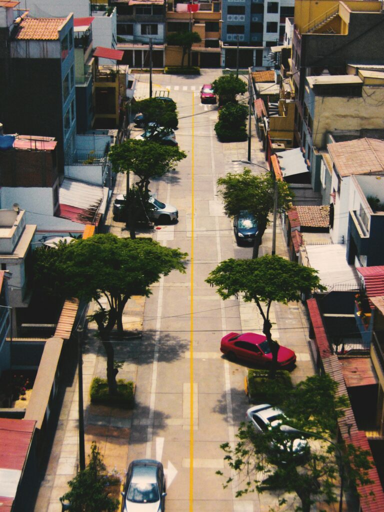 Aerial view of a narrow street lined with parked cars and greenery in a dense urban area.