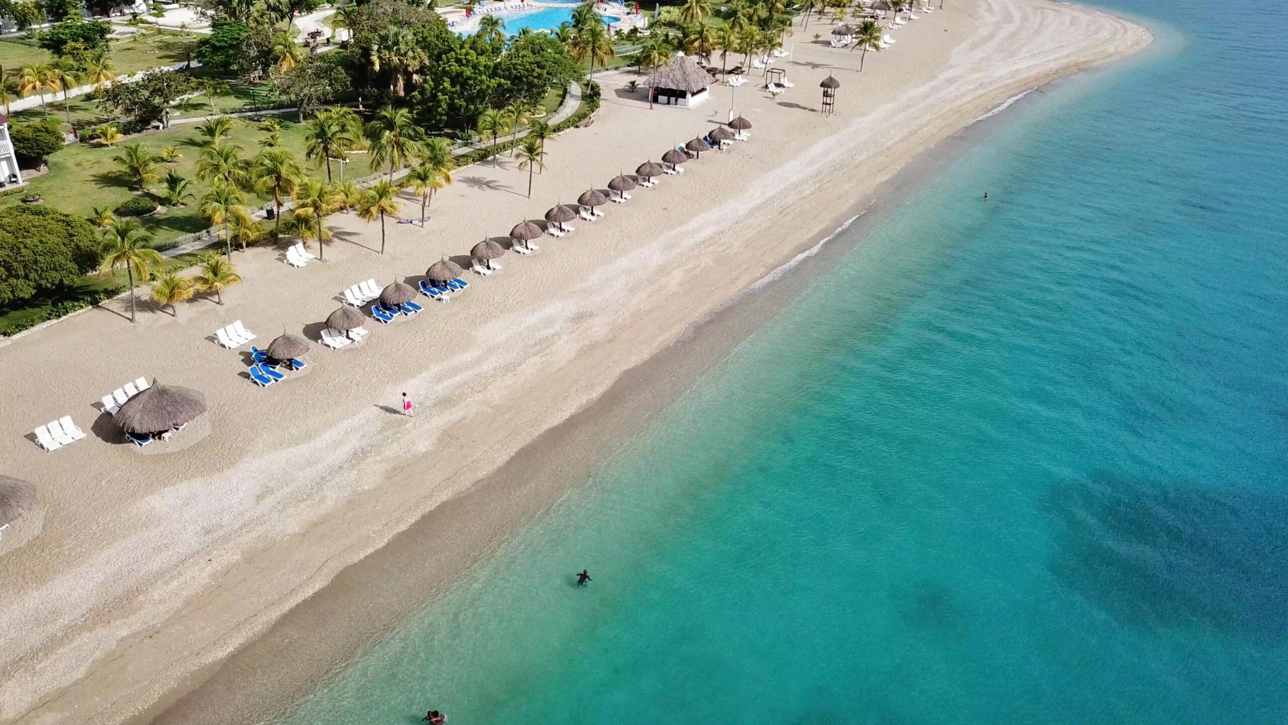 Aerial shot of a pristine beach in Haiti featuring palm trees and turquoise waters.