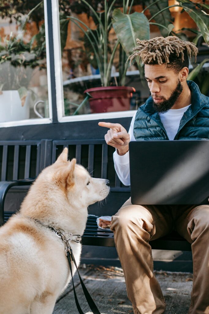 Man working remotely on laptop while interacting with Akita Inu dog outdoors.