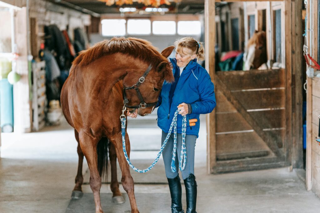 A woman showing affection to her horse inside a stable, demonstrating care and companionship.