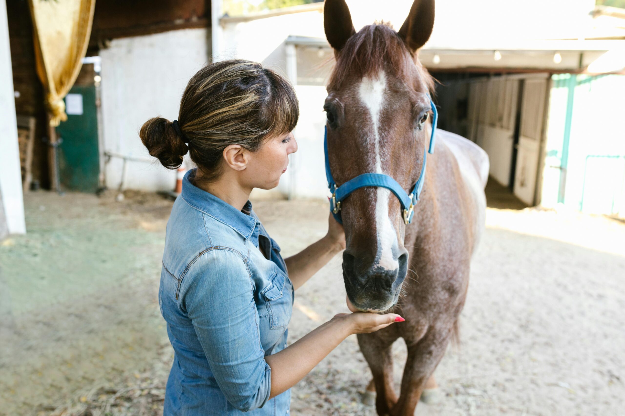 A woman in denim interacting with a brown horse in a stable setting, highlighting care and connection.