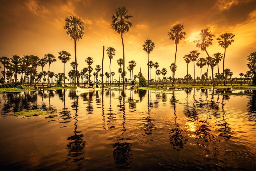 water, lake, trees