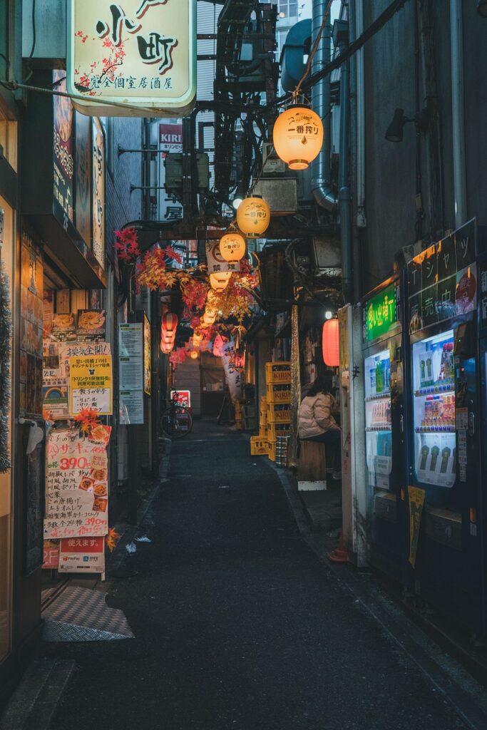 street, autumn, japan, city, travel, shinjuku, japan, japan, japan, japan, japan, city