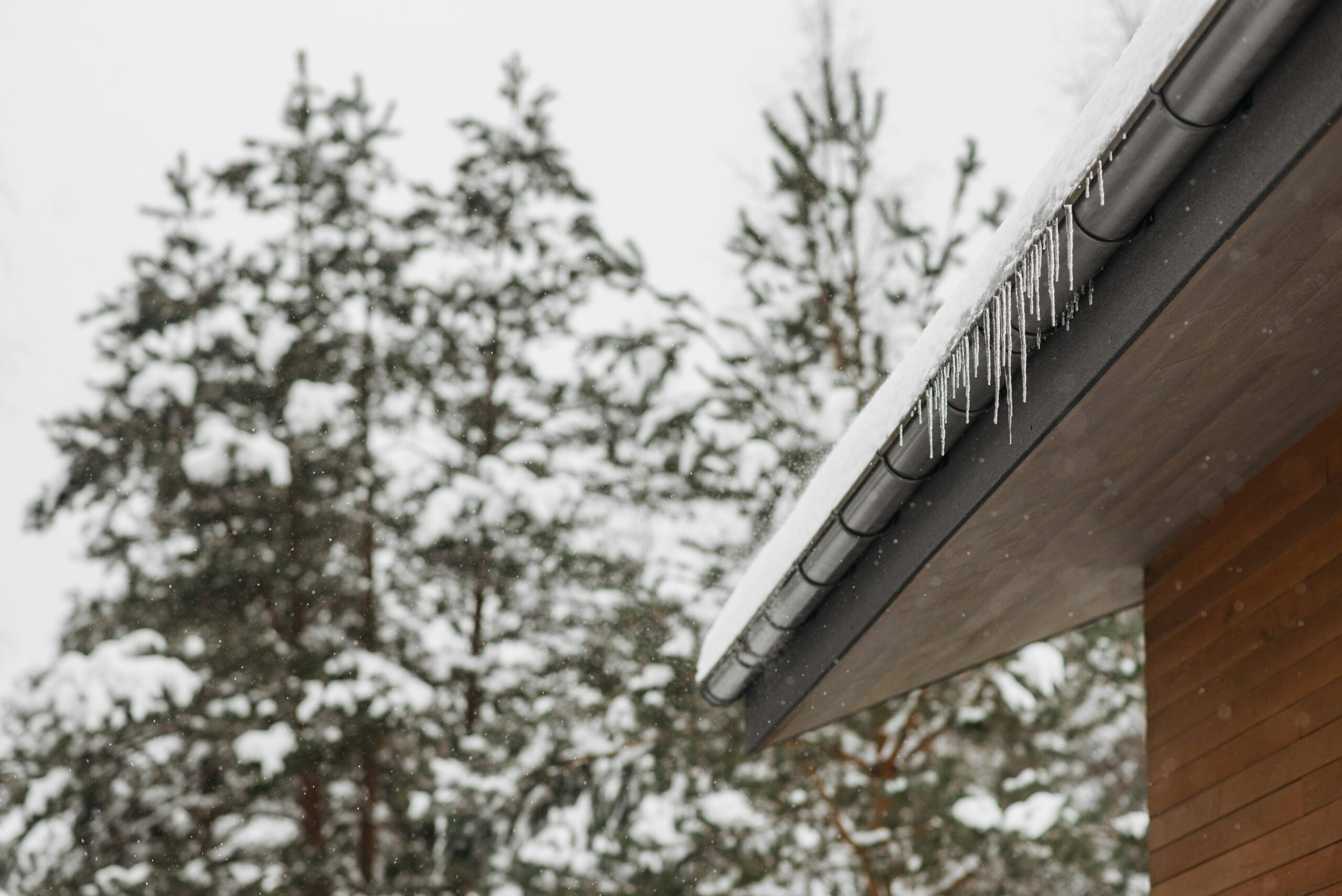 Stunning winter scene of icicles hanging from a snow-covered roof with snowy pines in the background.