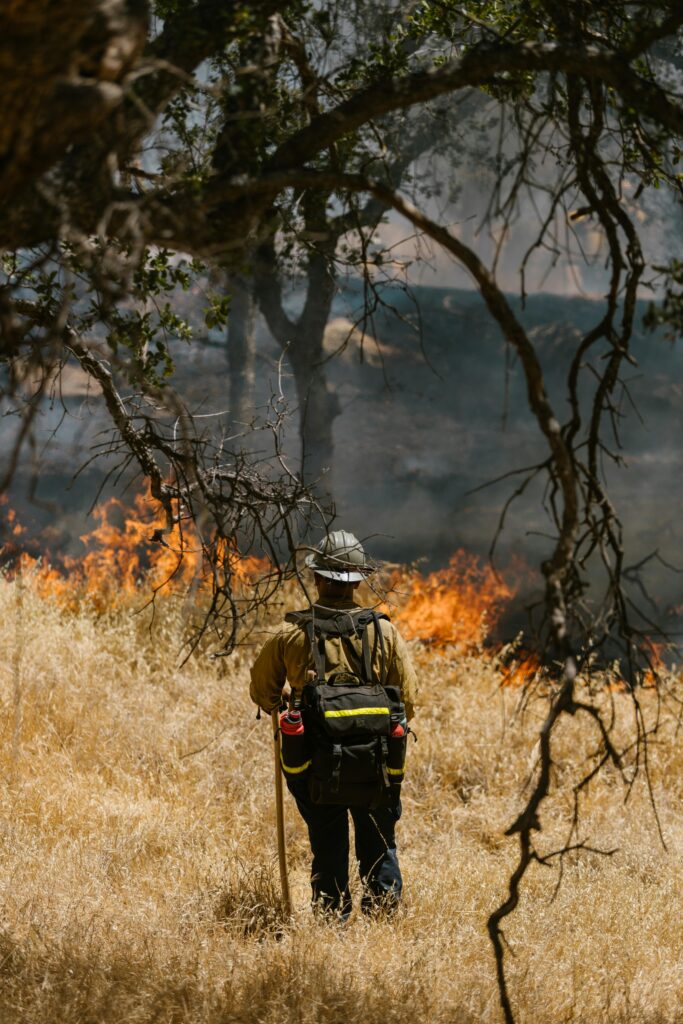 A firefighter facing a forest fire with dry foliage, highlighting the challenges of combating natural disasters.