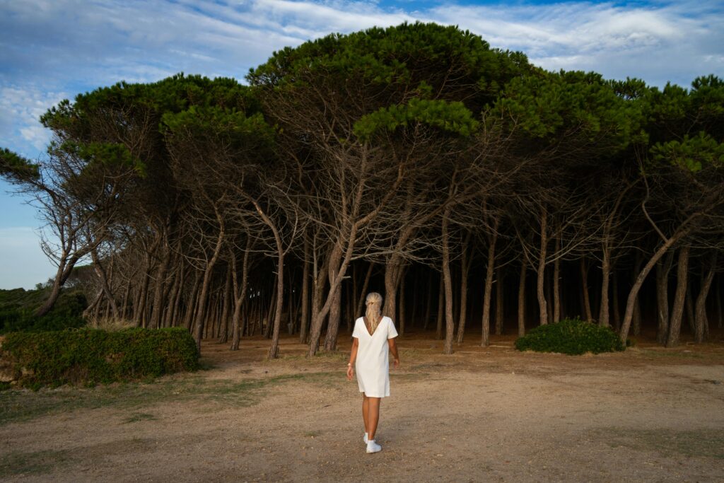 A serene scene of a woman in a white dress walking towards a dense Mediterranean pine forest in Sardinia.