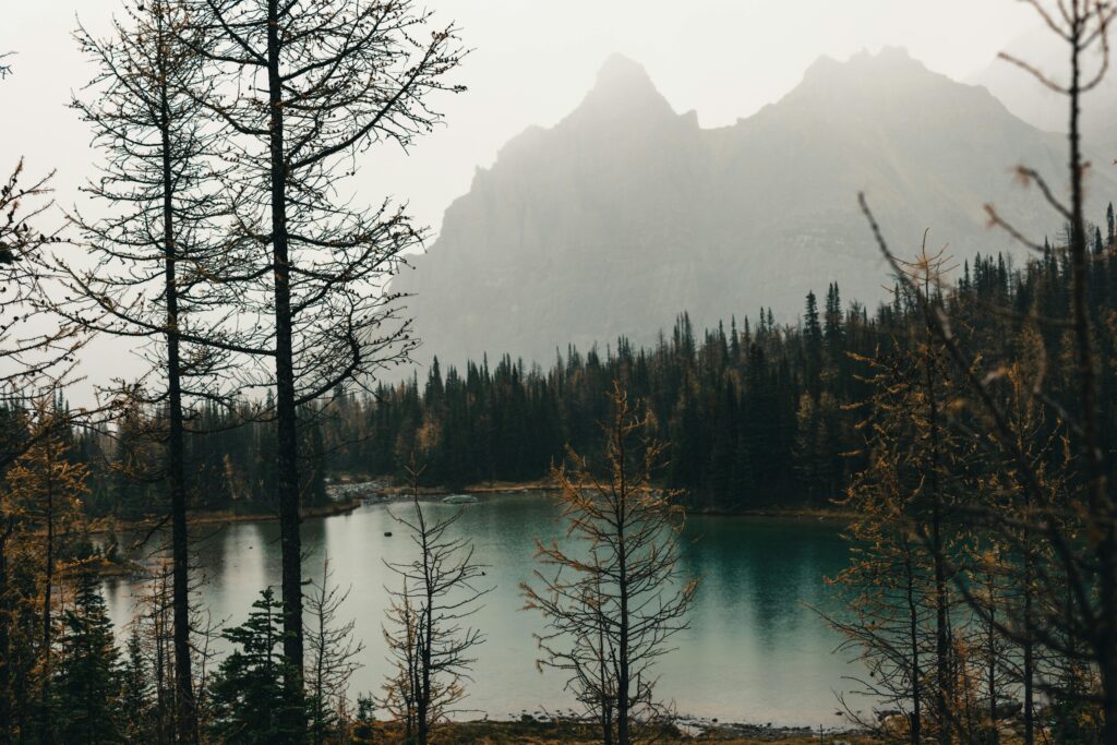 A tranquil mountain lake surrounded by autumn trees with misty peaks in Field, BC.