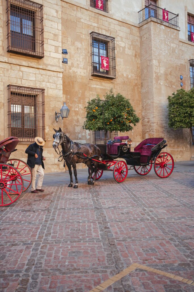 Elegant horse carriage awaits in the historic plaza of Córdoba, Spain, showcasing traditional charm.