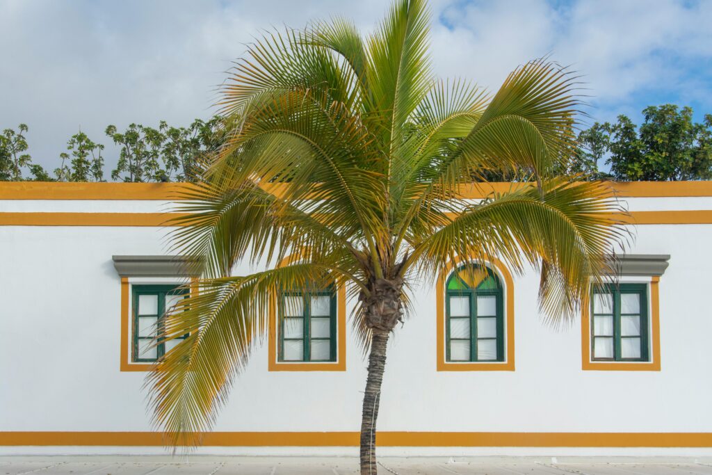 Elegant building facade with tropical palm tree in Canary Islands, Spain. Perfect for travel imagery.