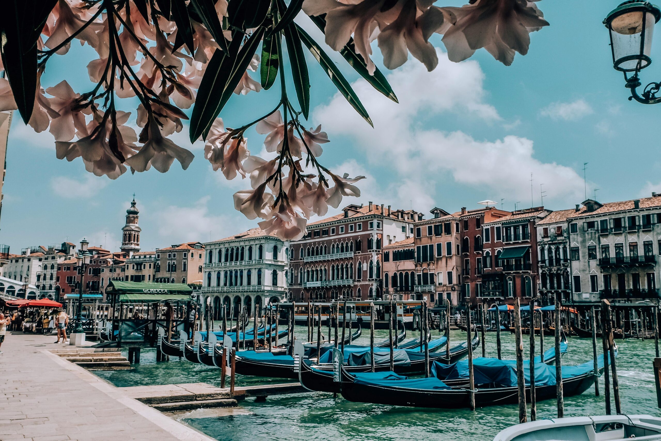 Beautiful view of Venice with gondolas on the canal, historic architecture, and blooming flowers.