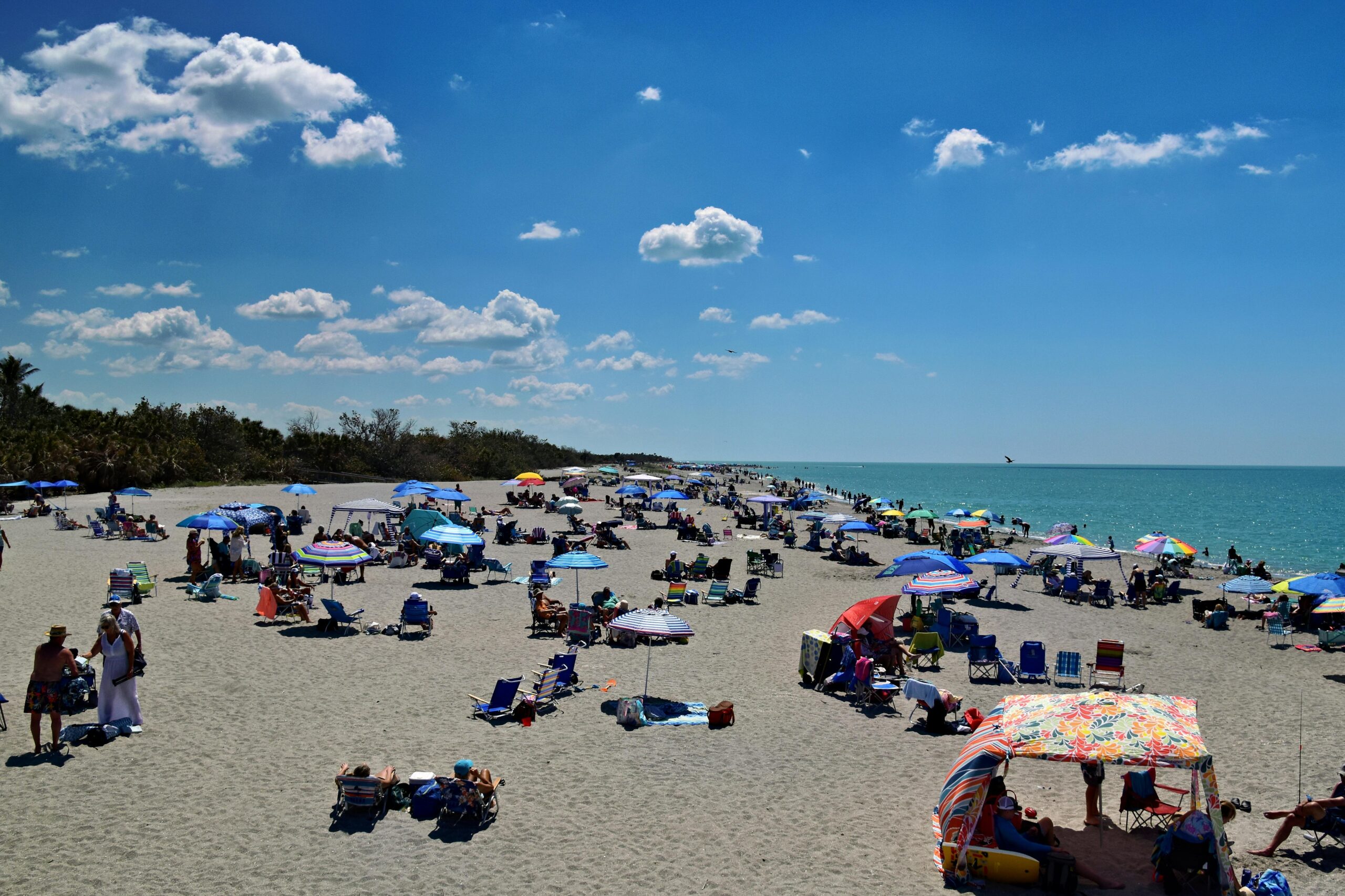 Vibrant beach scene with umbrellas and people enjoying the sun at Venice Beach, Florida.
