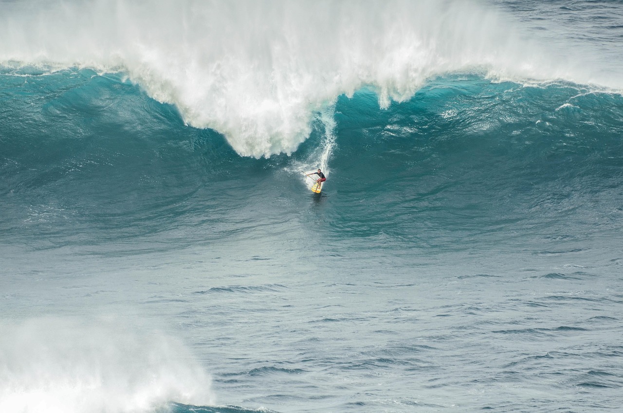 surfer, sport, waves, water, speed, surfboard, activity, sea, nature, surf, hawaii, outdoors