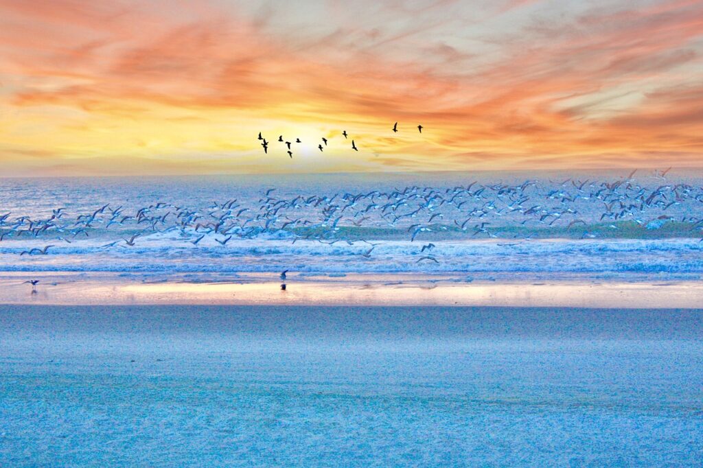 myrtle beach, nature, sunrise, beach, ocean, sand, south, carolina, blue beach, blue sunrise, blue sand