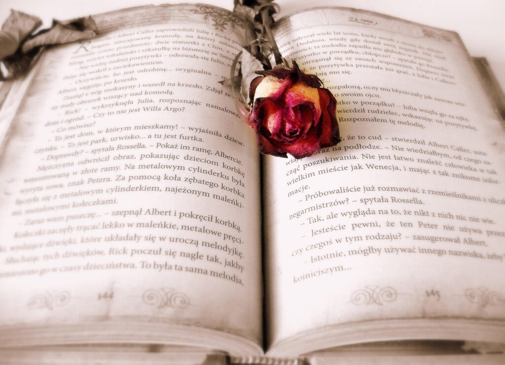 book, rose flower, rose, book mark, open book, pages, chapter, novel, read, literature, reading, bookworm