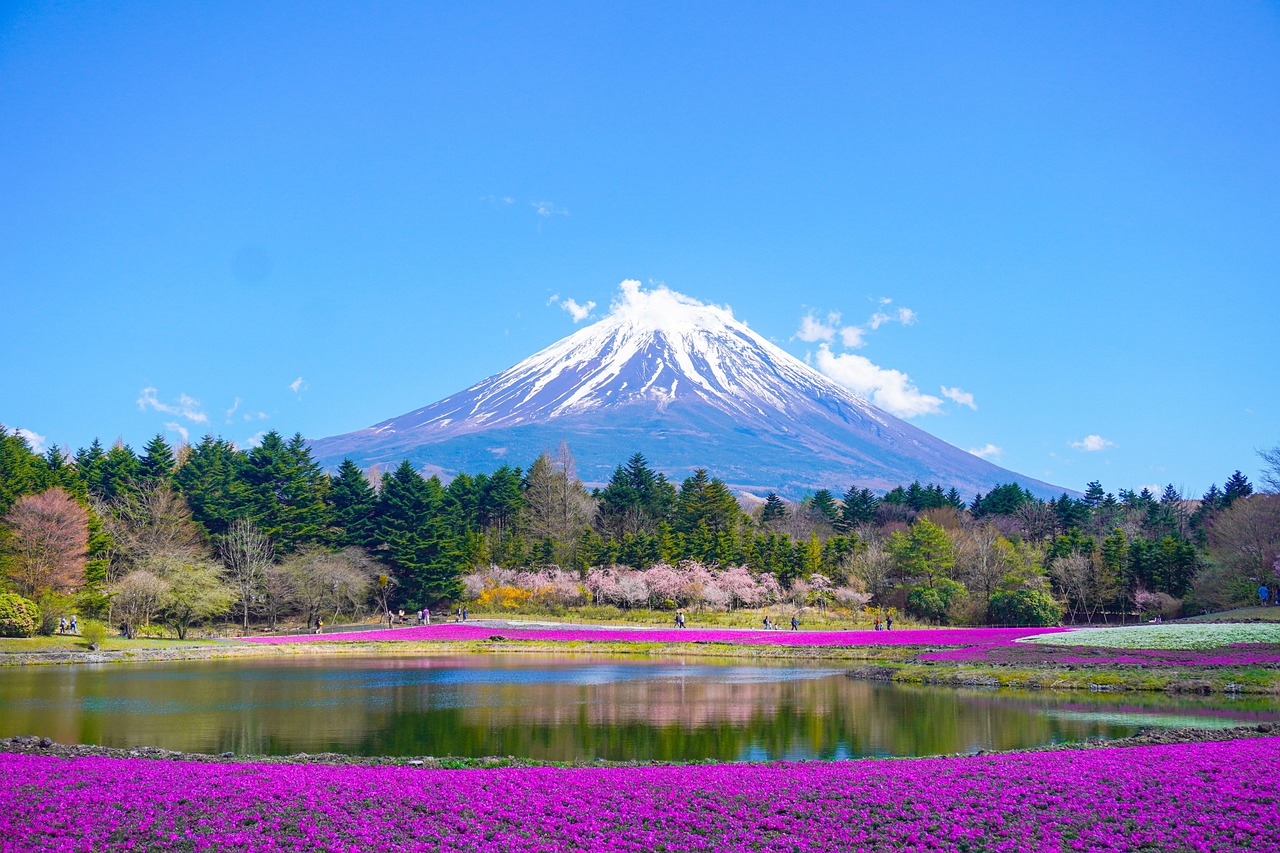 mount fuji, flower wallpaper, lake, nature, mountain, flower background, park, flowers, beautiful flowers, japan, spring