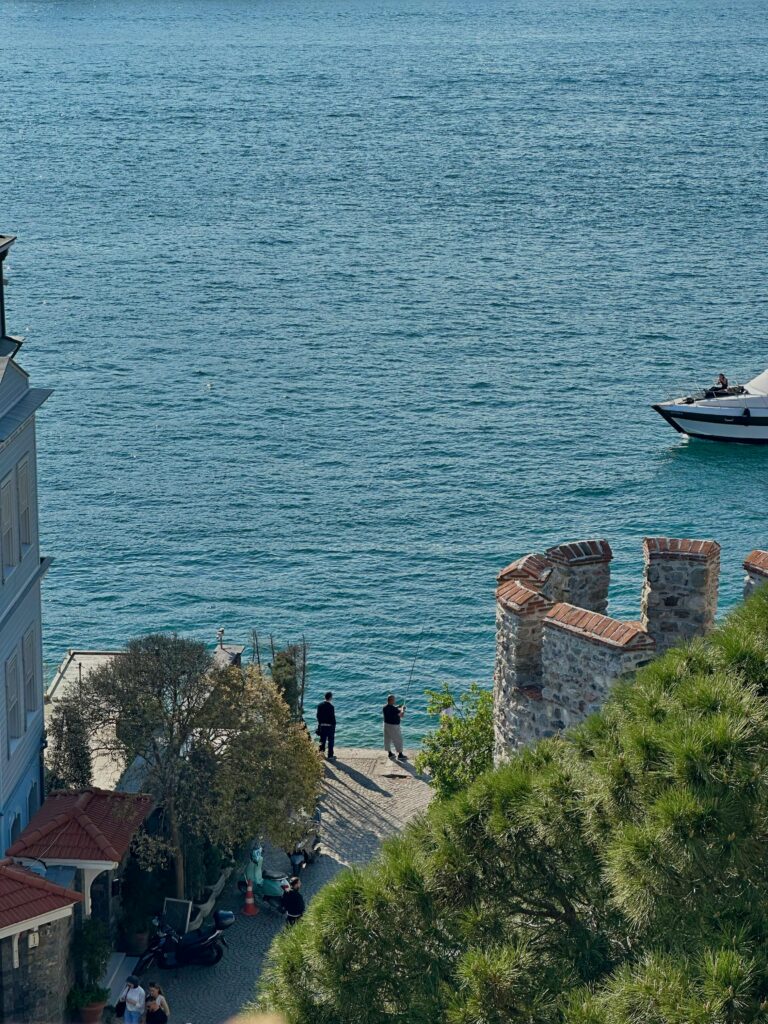 Overlooking a serene waterfront with a boat and people nearby.