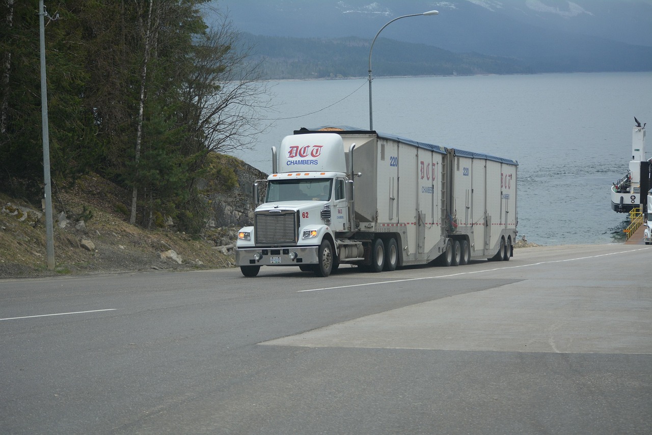 truck, lorry, white truck, cargo truck, big rig, transportation, vehicle, highway, lake, driving, truck drivers, truckers, nature, lorry driver, gray truck