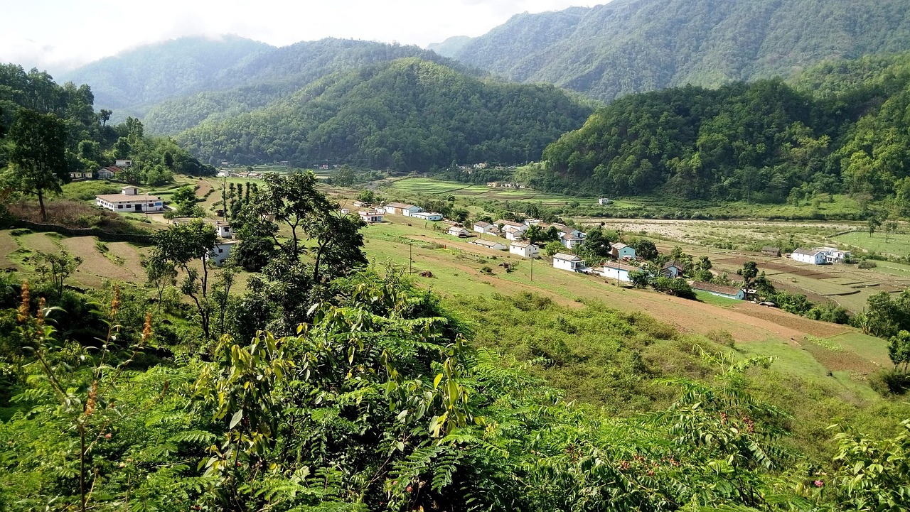 nature, india, jungle, valley, green, sunny, village, hills, jim corbett national park, nature, india, india, india, india, india, jungle, jungle, jungle, jim corbett national park