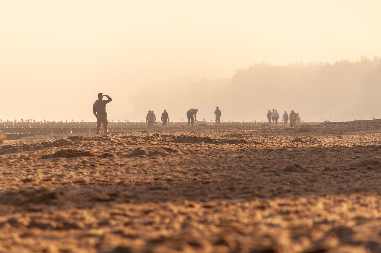 beach, seashore, sand, shore, coast, summer, horizon, scenery, nature, vacation
