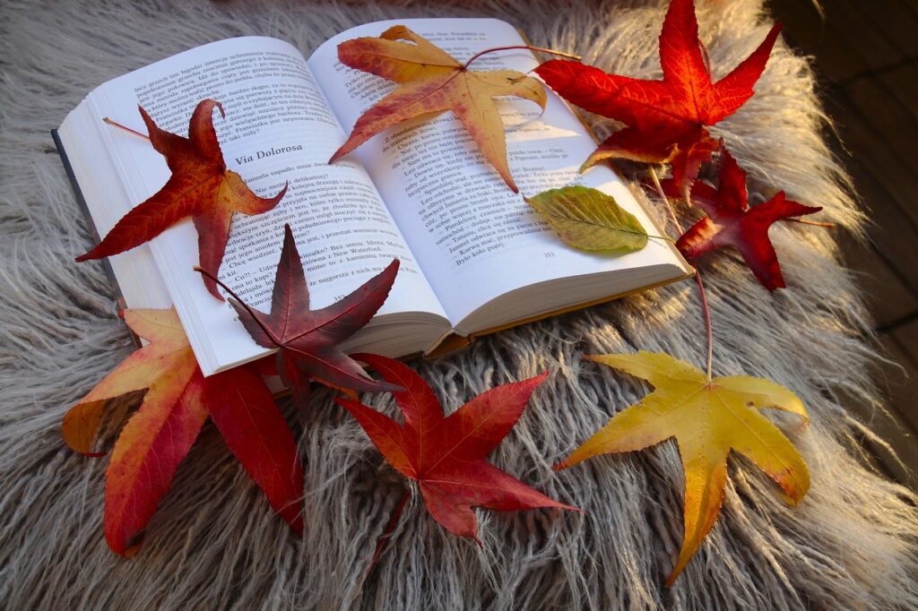 to read, books, in the fall, nature, leaves, open prince, literary, cushion, colors of autumn, maple leaf