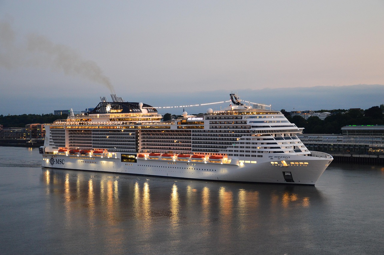 cruise ship, elbe, hamburg, ship, boats, landungsbrücken, ship travel, cruise, maritime, sea, hanseatic city, water, nature, port
