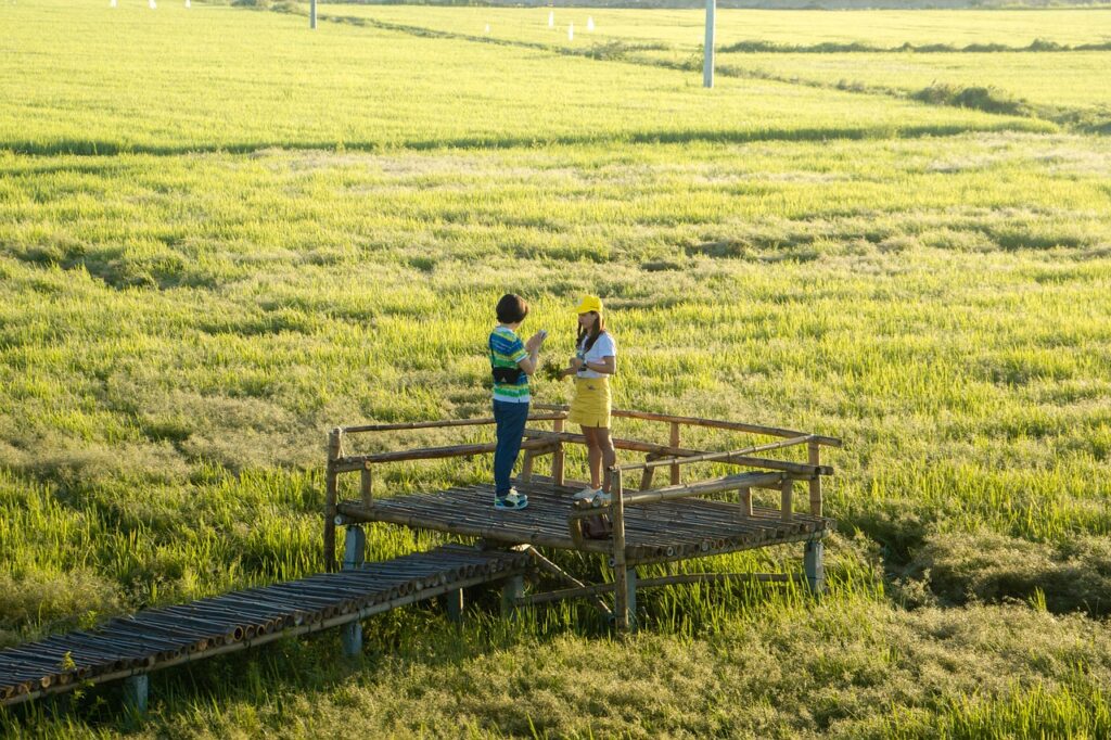 landscape, field, travel, nature, couple, relationship, friends