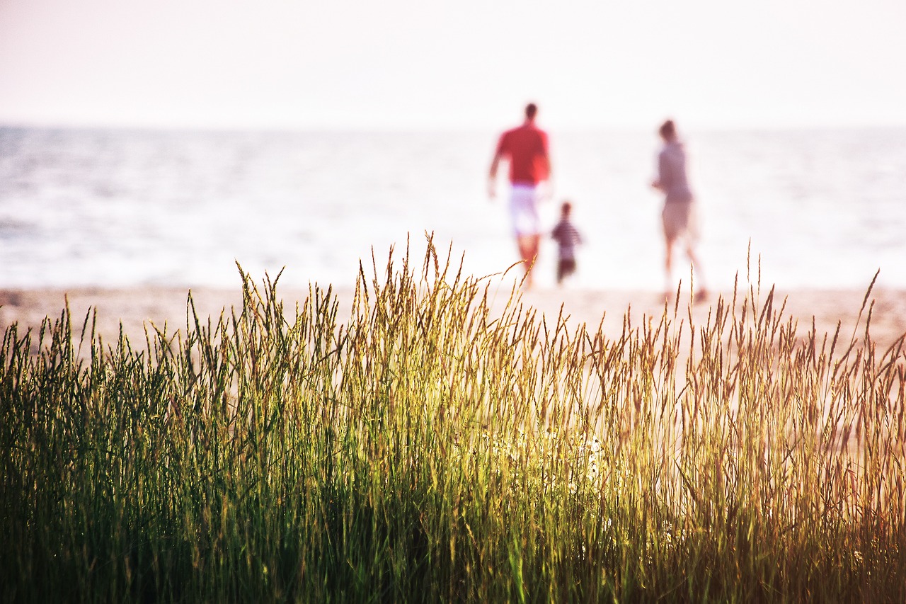 family, beach, vacation, grass, sea, nature, coast, landscape, reeds, summer, atlantic sea, family, family, family, family, family