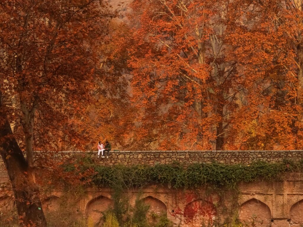 A couple enjoys the beauty of autumn foliage on a historic stone bridge in Srinagar.