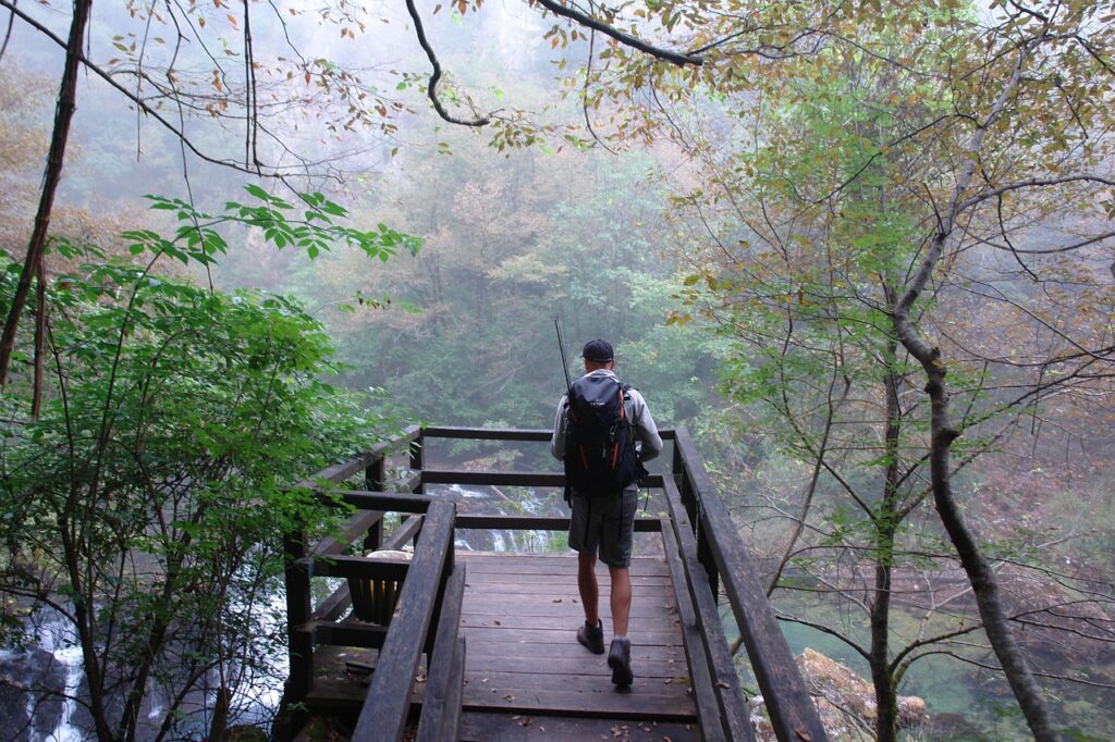 fisherman, misty morning, croatia, river, un, nature, green, tourism, travel, forest, waters, natural, scenery, europe