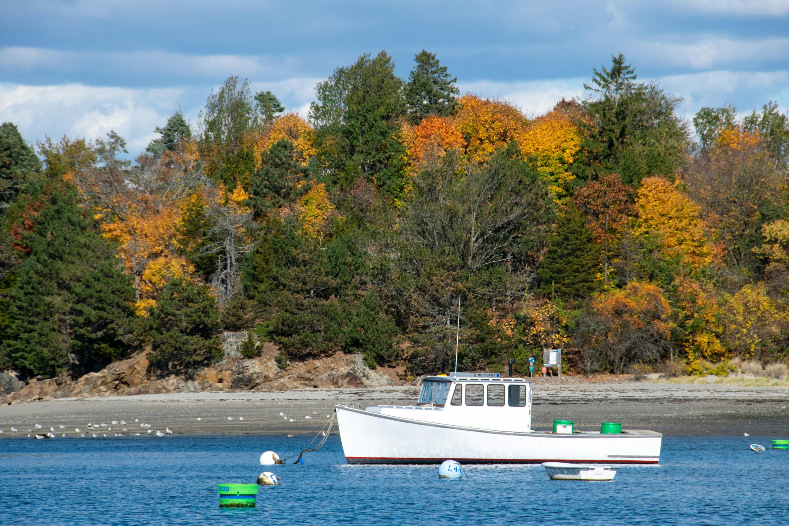 A tranquil autumn scene featuring a moored boat and vibrant foliage in Marblehead, Massachusetts.