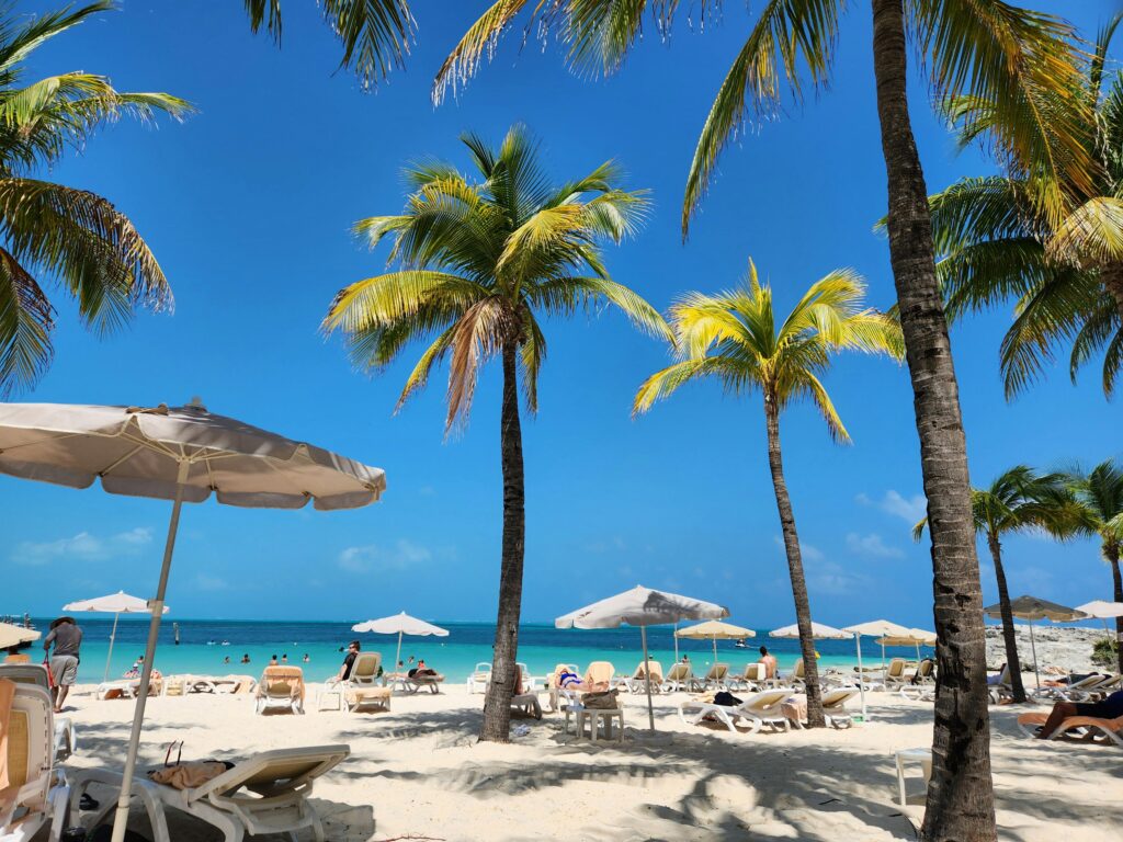 Palms and sand