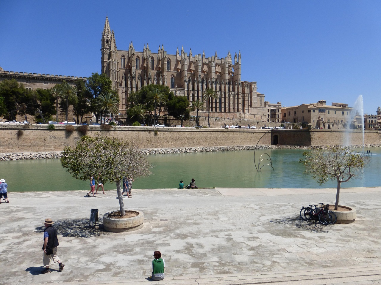 palma, palma de mallorca, cathedral, mallorca, city, palma de mallorca, palma de mallorca, palma de mallorca, palma de mallorca, palma de mallorca, mallorca