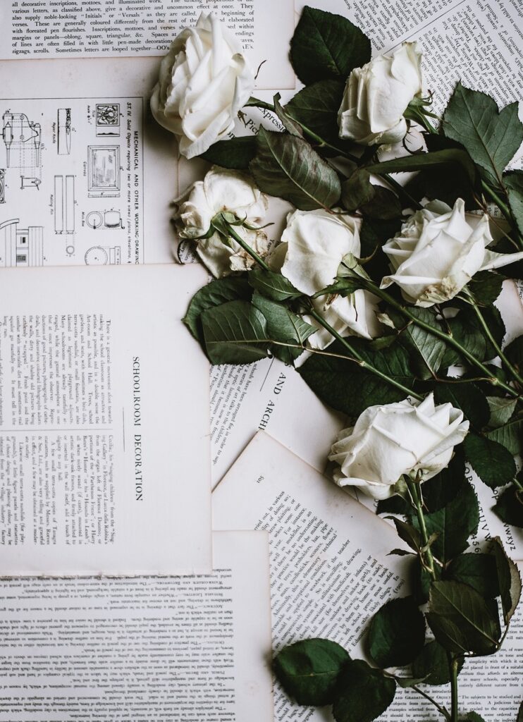 rose, white, flower, flower wallpaper, flower background, letter, leaf, decoration, beautiful flowers, book, paper, nature, rose flower, words