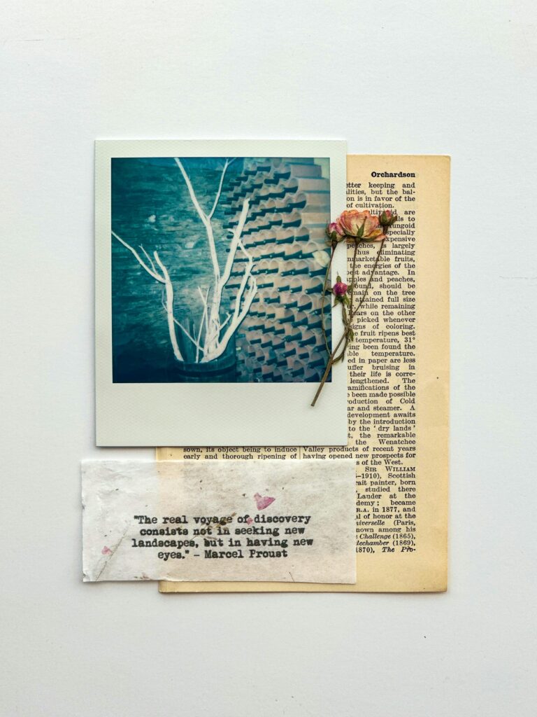Artistic vintage flat lay with Polaroid, dried flowers, and text on paper.
