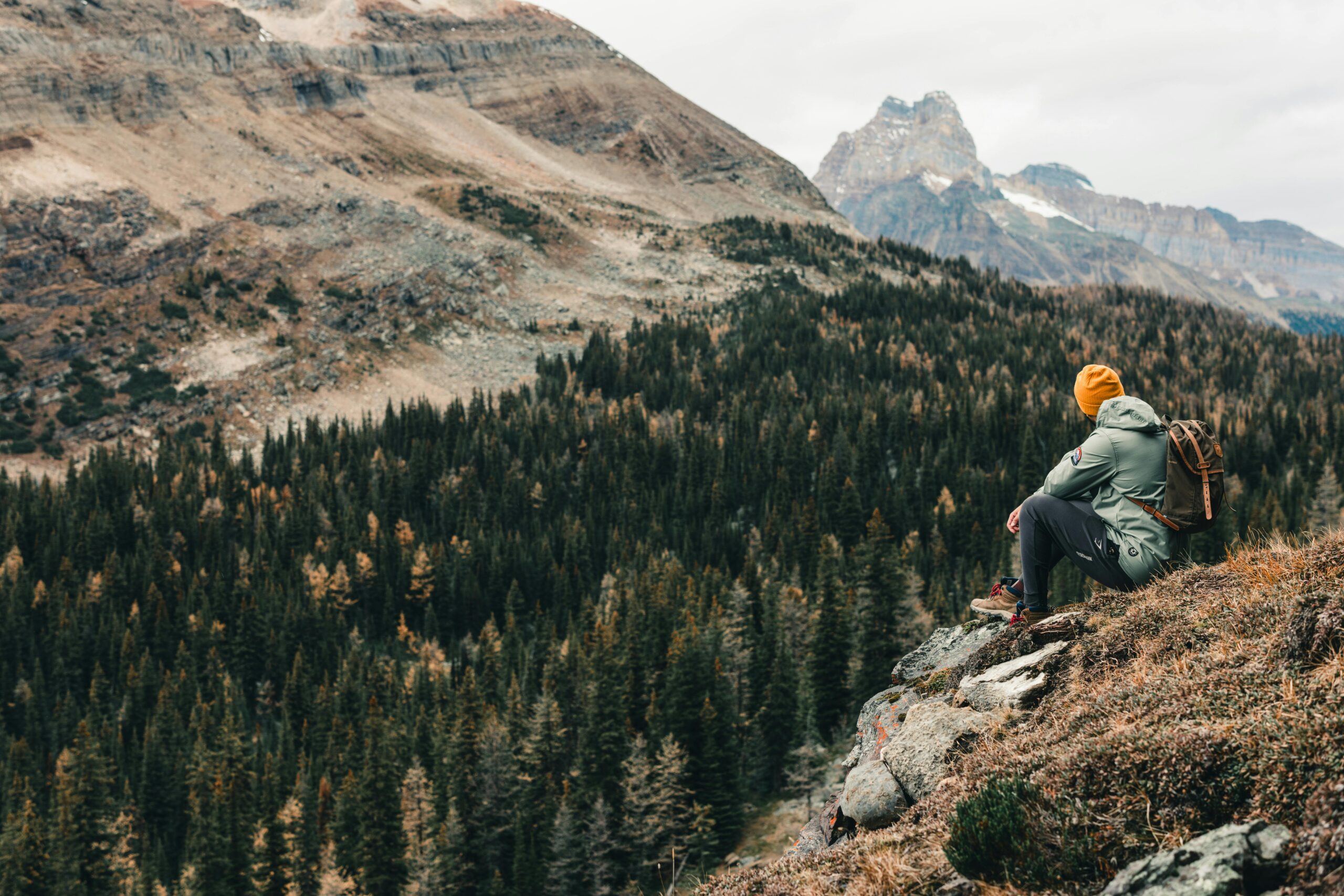 Adventurous hiker admiring the mountains in Field, BC, Canada during autumn.