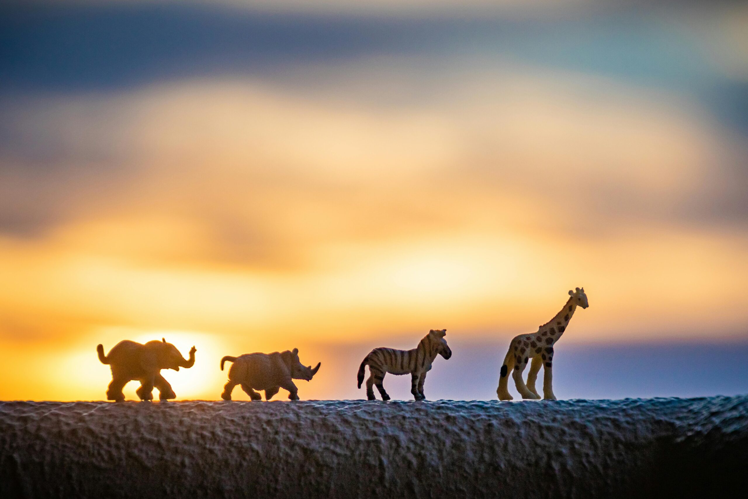 Silhouettes of miniature safari animal figures at dusk against a vibrant sunset.