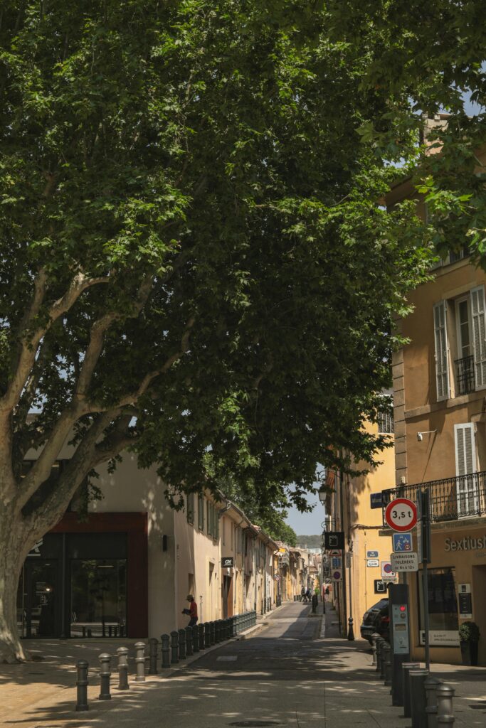 Quaint street view in Aix-en-Provence with historic architecture and lush greenery.