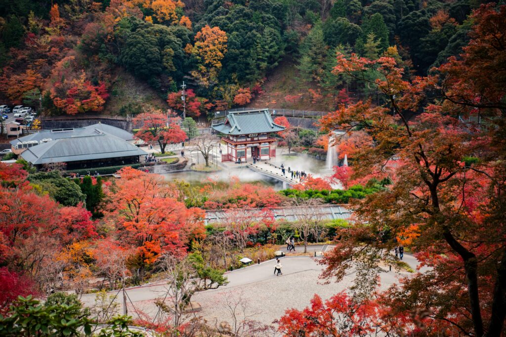 Autumn colors in Minoo Park, Osaka, Japan, with a traditional gate amid vibrant foliage.