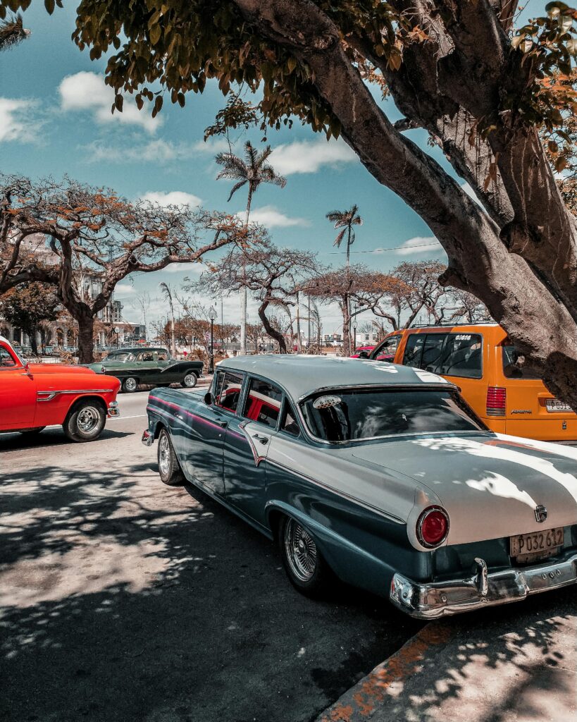 Classic vintage cars parked under palm trees in sunny Havana, showcasing nostalgia and style.