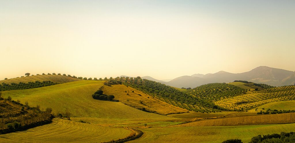 Scenic view of rolling agricultural hills under blue sky in Spain's countryside.