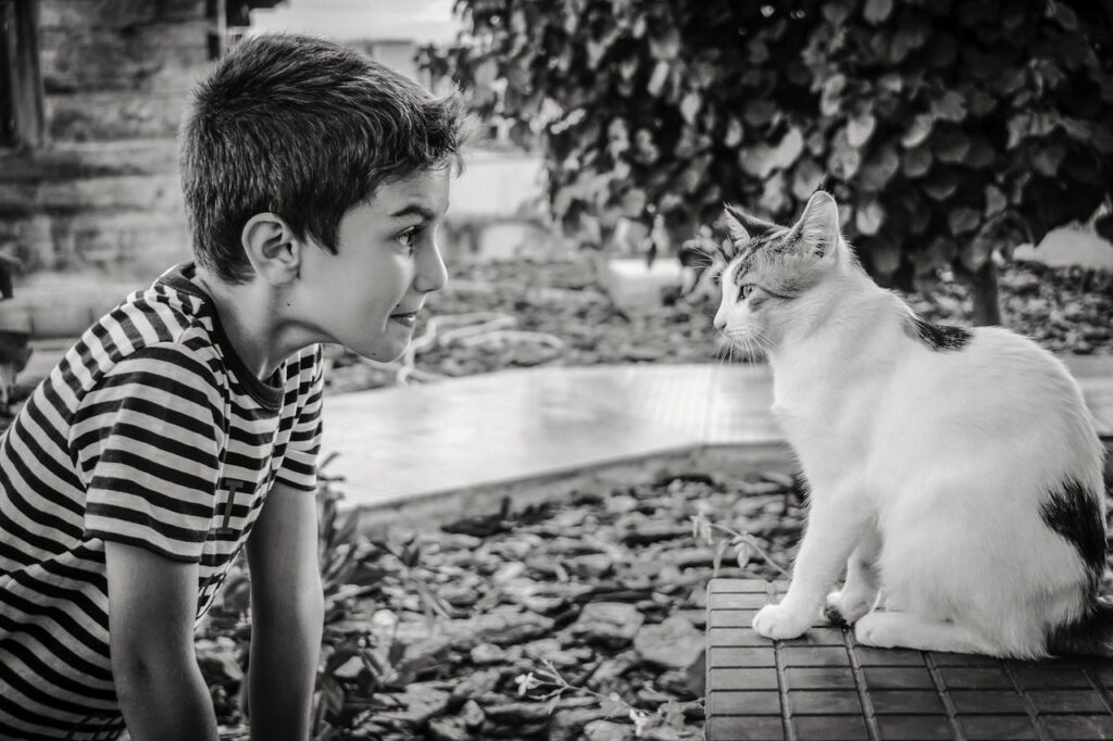 boy, pet, cat, animal, communication, emotion, expression, child, cute, happy, kid, childhood, friends, love for the animals, black and white, nature, gray love, gray cat, gray happy, gray community, gray communication, gray happiness