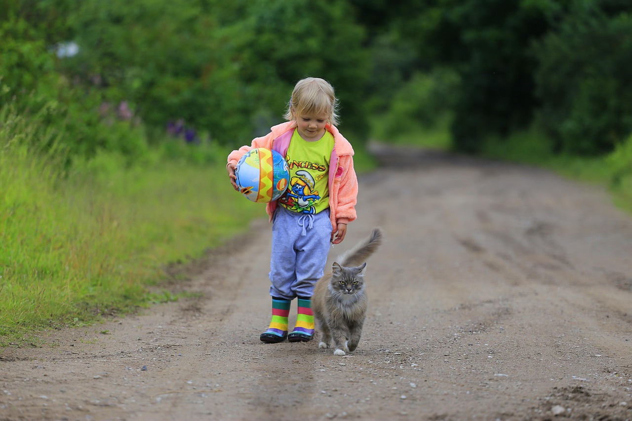 kids, joy, pet, baby, cat, iron, pleasure, weasel, animal, communication, village, nature, girl, love