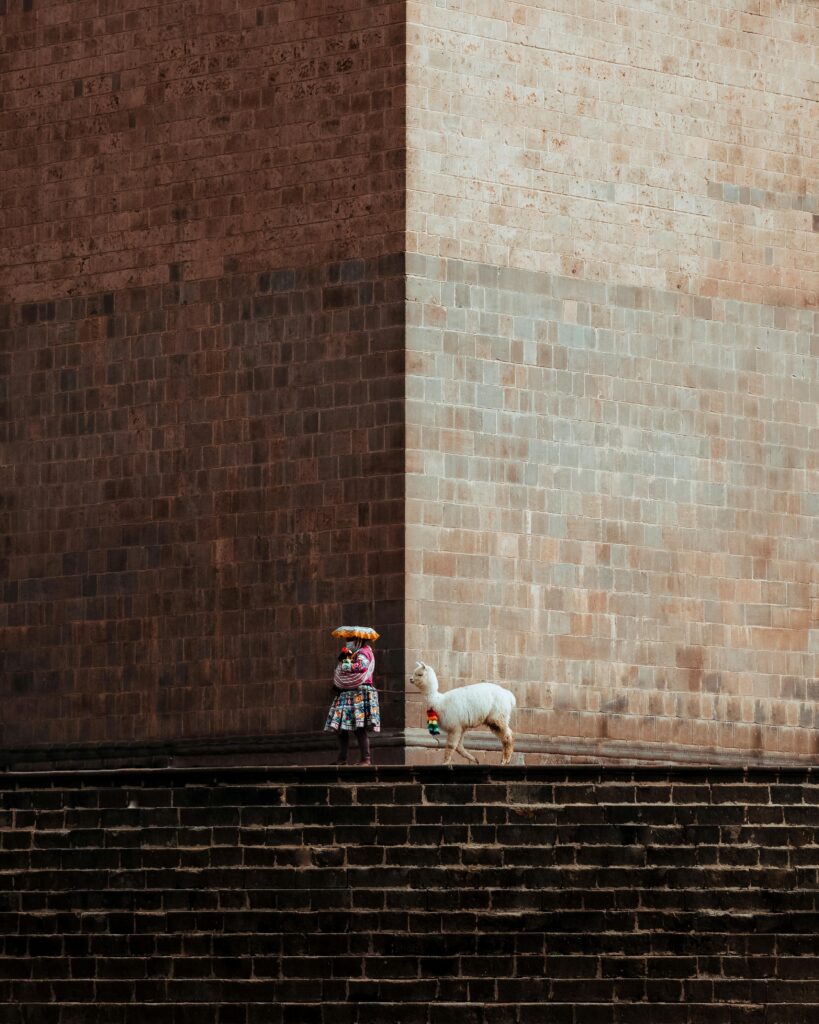 A traditional Peruvian woman with a llama against a brick wall in Cusco, Peru.