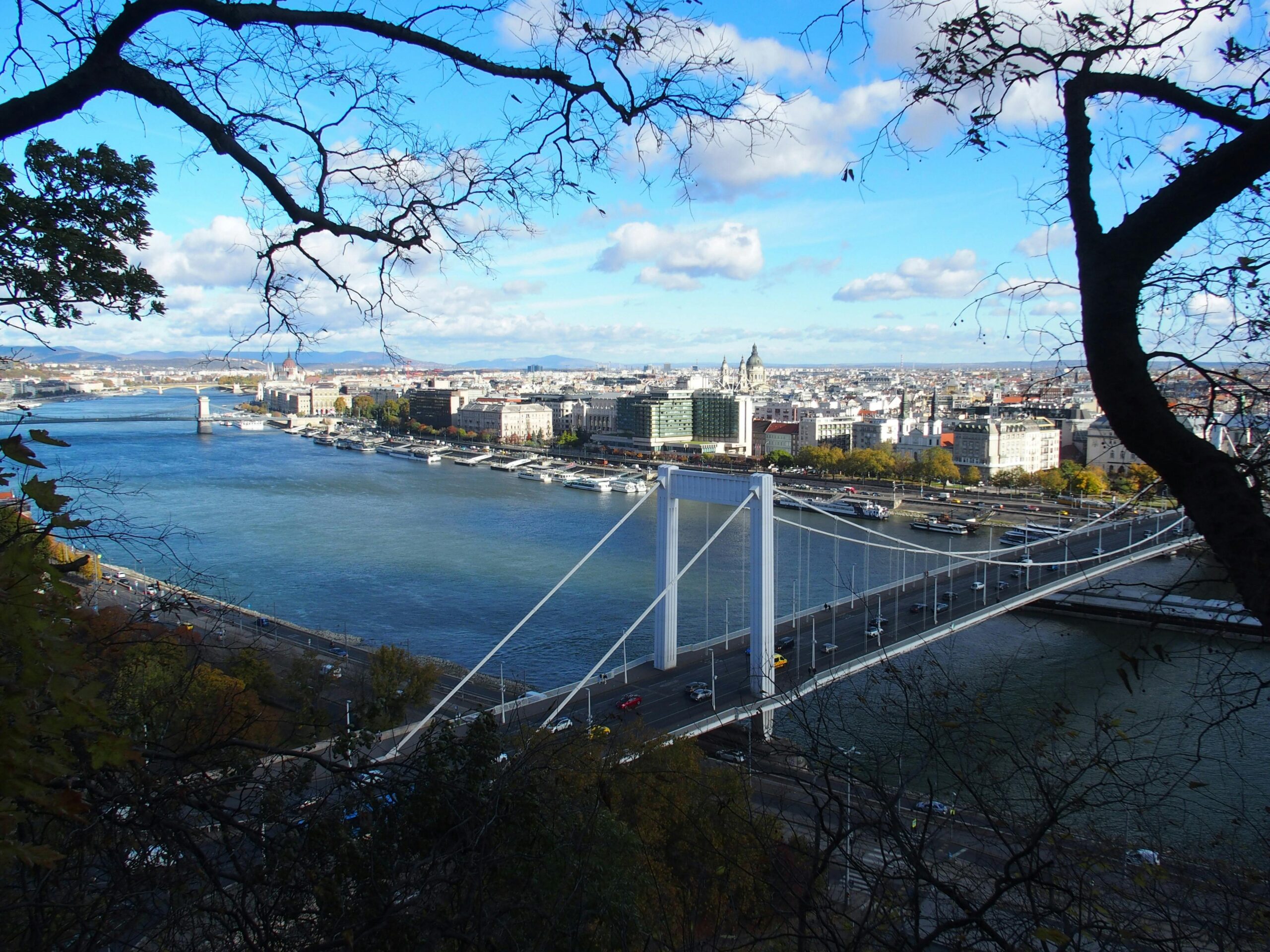 A picturesque view of Budapest, highlighting the Danube River and Elisabeth Bridge under a bright blue sky.