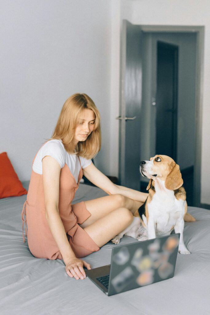 Young woman in casual attire working from home with a beagle dog on bed.